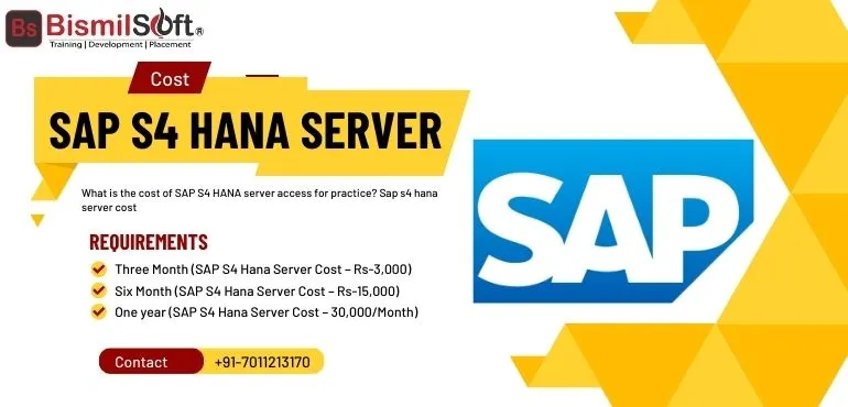 What Is The Cost Of SAP S4 HANA Server Access for Practice | Sap